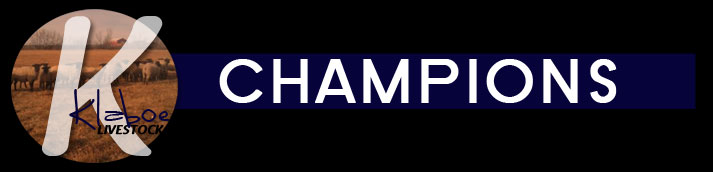 Champions