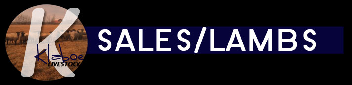 Sales/Lambs